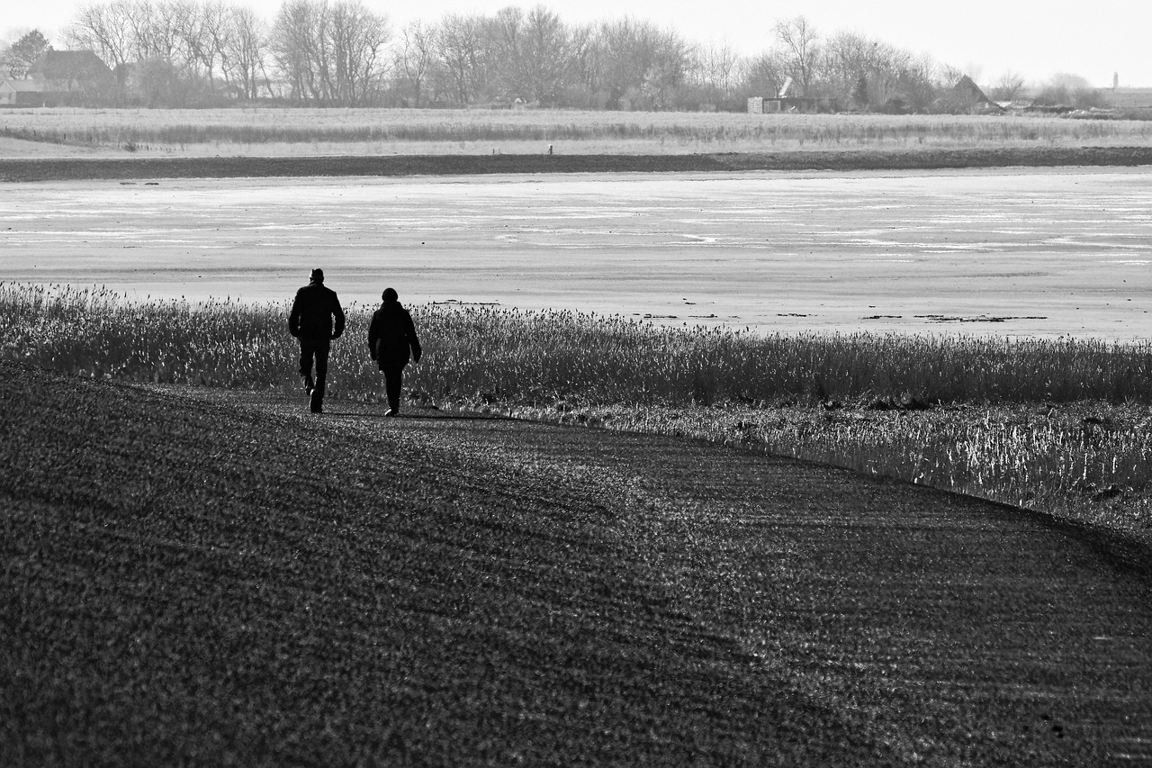 Exploration pédestre au cœur magique de la mer des Wadden