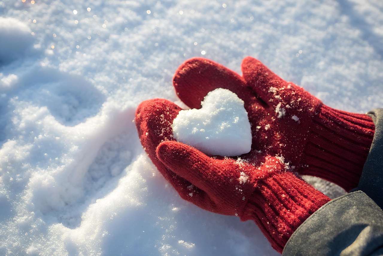 Découverte hivernale à New York : Activités incontournables en février 2026