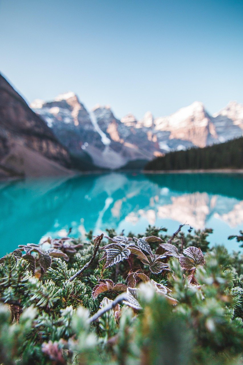 Camping : Découvrez les trésors cachés de la nature en pleine campagne