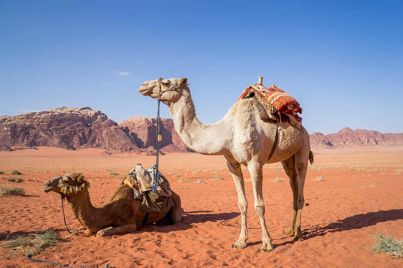 Tourisme dans la région MENA : quelles conséquences le conflit au Moyen-Orient imprime-t-il sur le secteur ?
