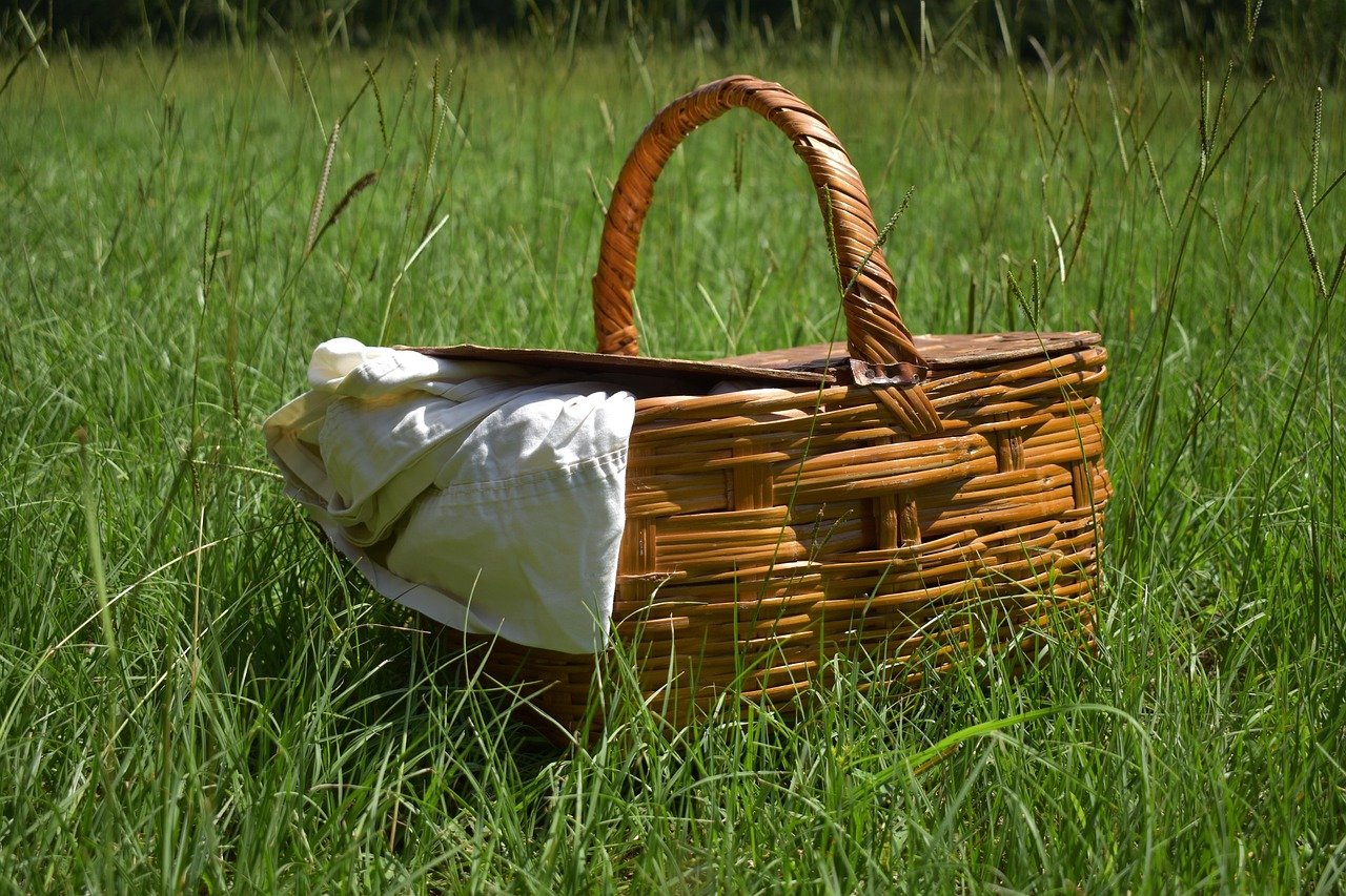 Picnics idéaux en plein air pour profiter des paysages enchanteurs