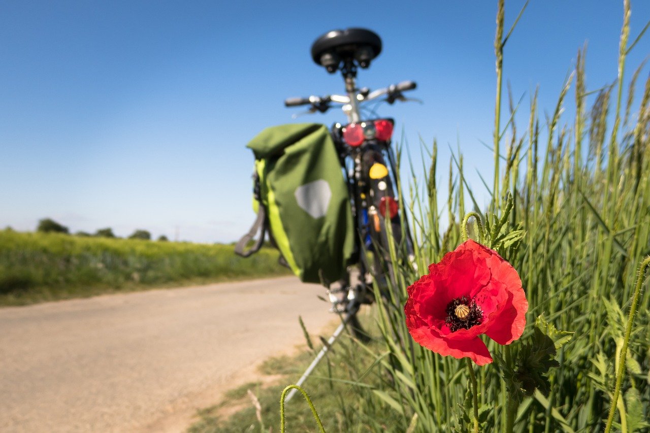 Découvrez les activités de plein air à proximité de chez vous