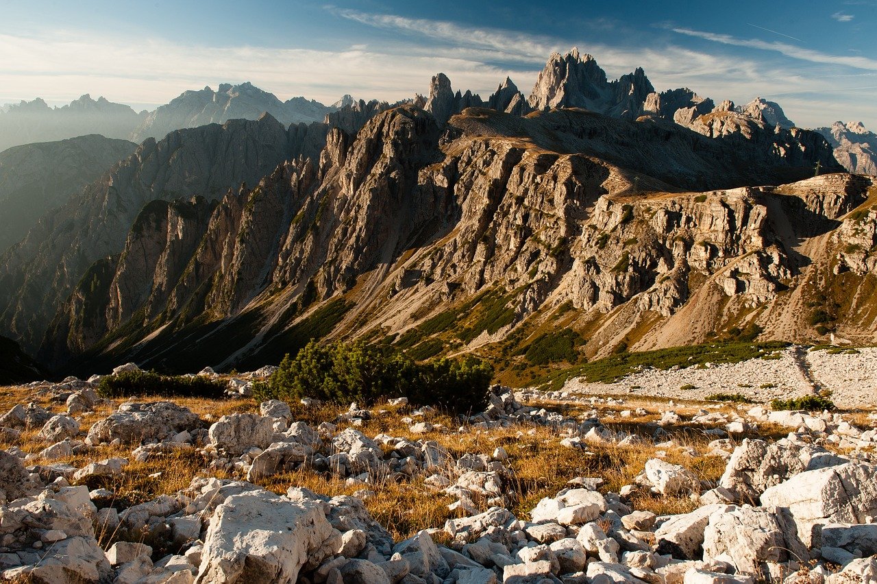 Animations en pleine nature : découvrez les richesses du territoire