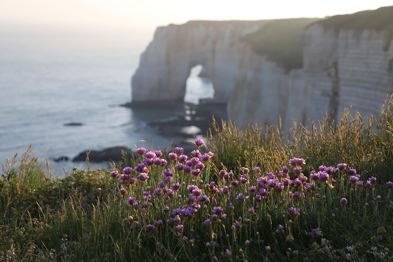 Les plus belles plages de France pour des vacances ensoleillées