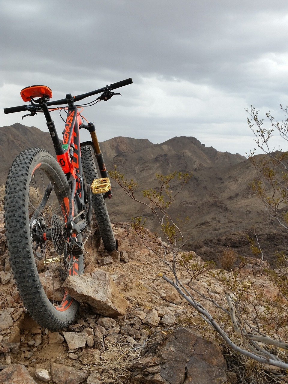 Comment se lancer dans le VTT : par où commencer