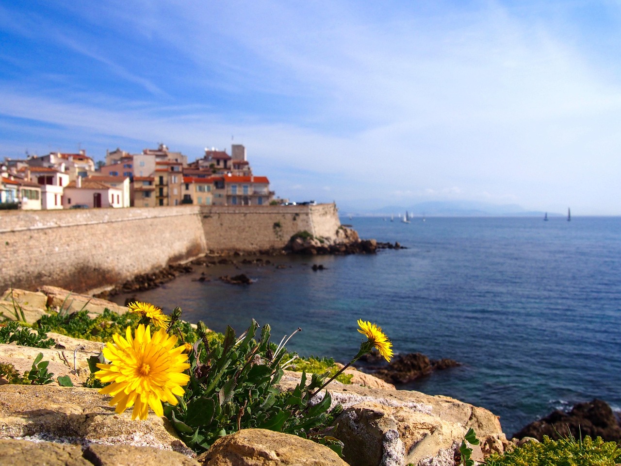 La Côte d’Azur à l’honneur : Nice séduit les investisseurs indiens lors de l’événement « Doing Business in India »