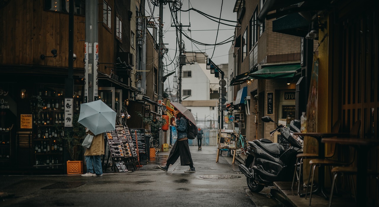 Geo Book Japon : Découvrir le Pays du Soleil Levant avec votre guide de voyage essentiel