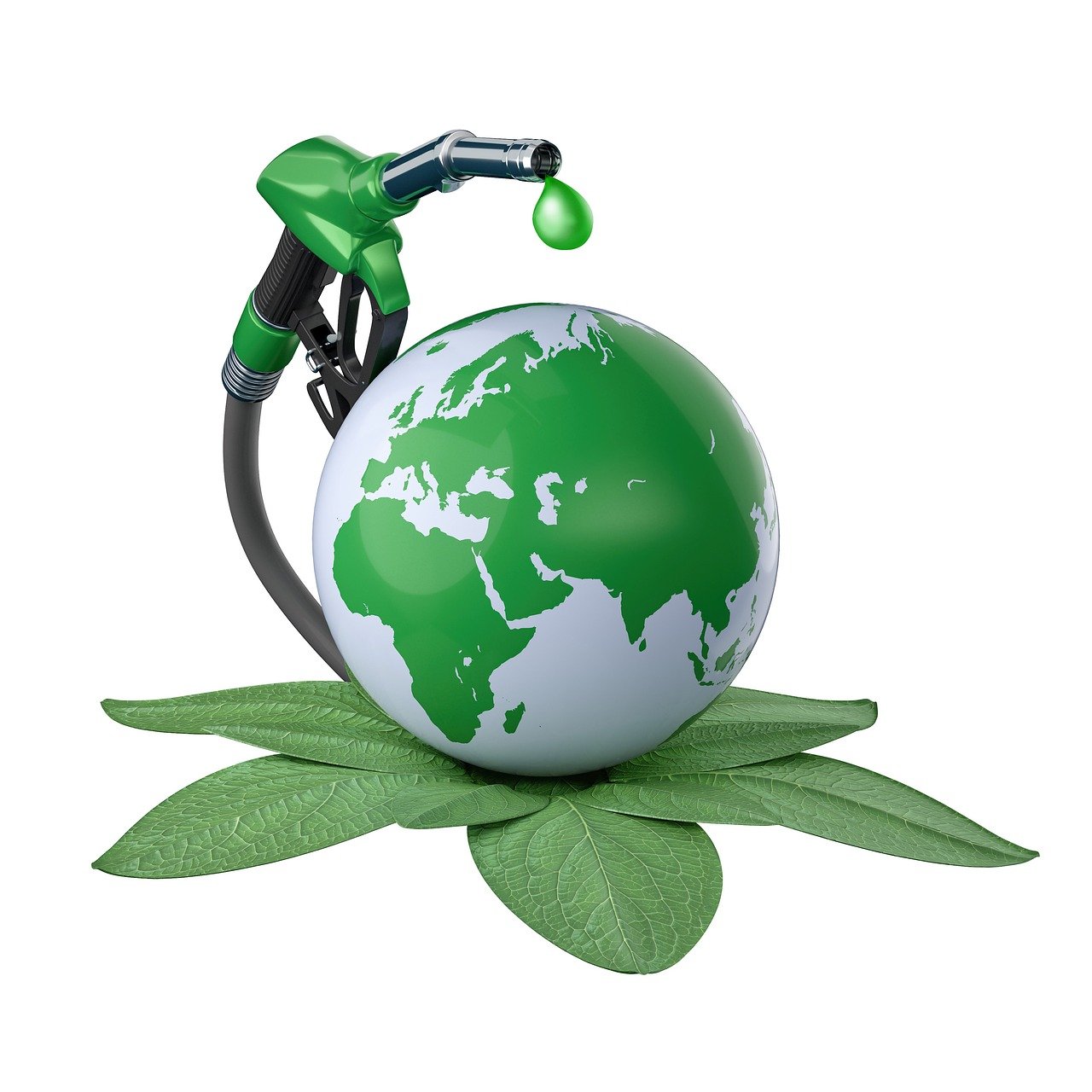 Guide des hébergements écologiques en Europe