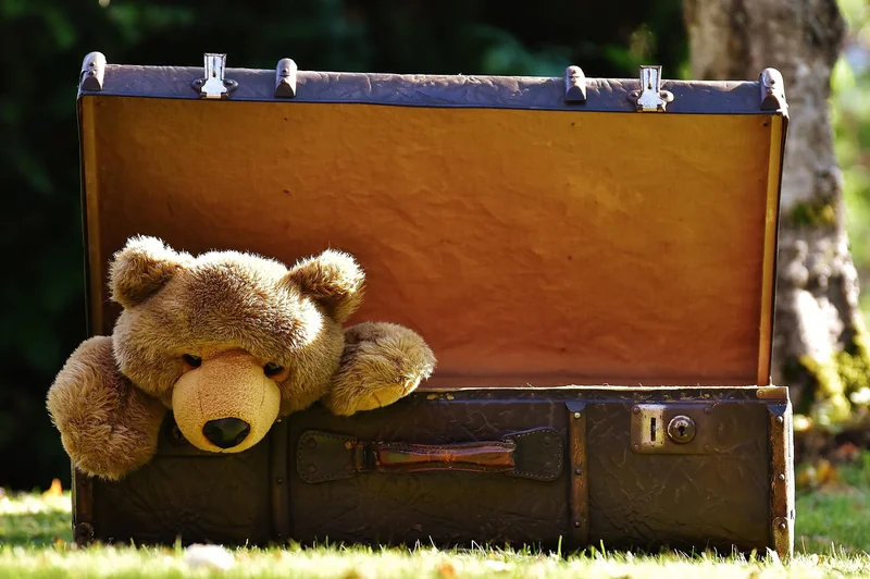 Quelles sont les règles pour les bagages en soute ?