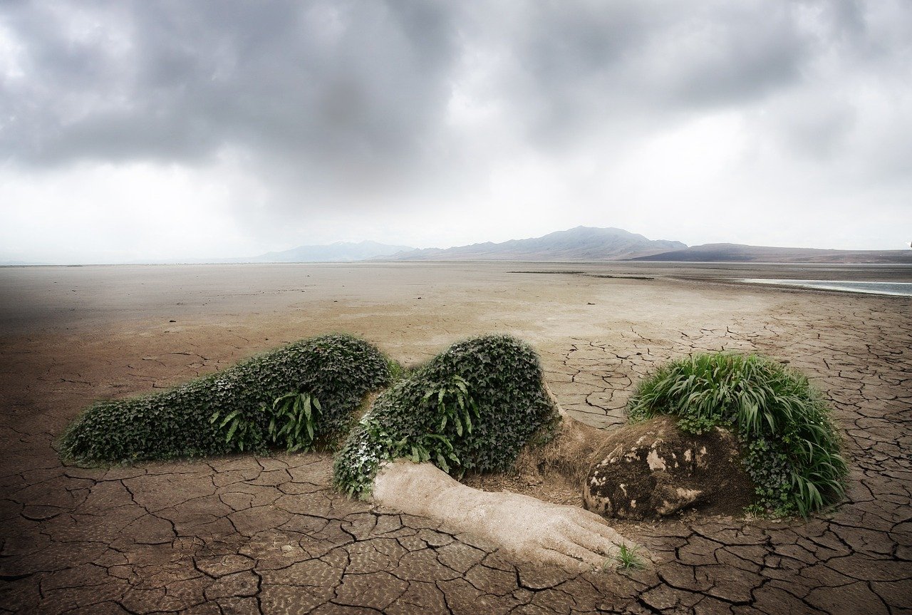 Écologie : Préserver les trésors naturels de notre région