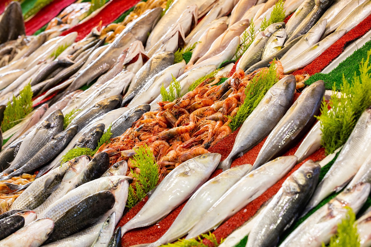 Les incontournables établissements marseillais pour savourer poissons et fruits de mer : notre sélection des 10 meilleures adresses