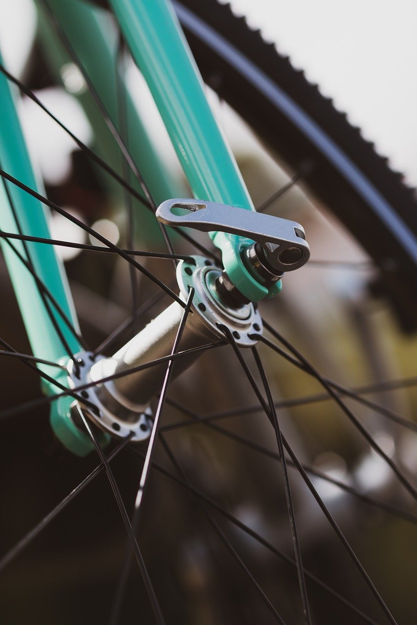 Les plus belles pistes cyclables à explorer dans le monde