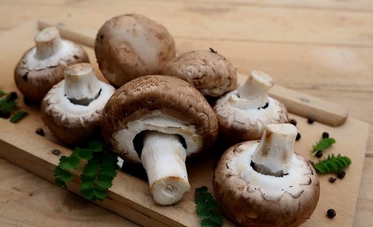 Retrouver les saveurs d’antan en Bretagne