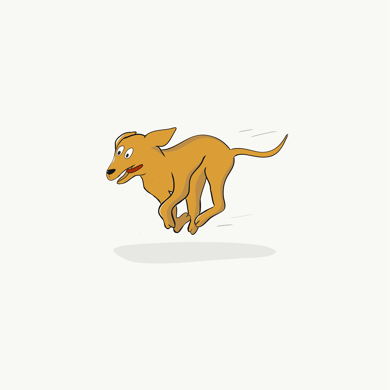 Conseils pour voyager avec un animal de compagnie