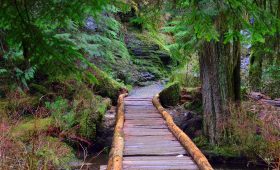 découvrez les meilleurs campings pour votre prochain séjour en pleine nature. profitez d'activités en plein air, de paysages à couper le souffle et d'options d'hébergement variées adaptées à tous les budgets.