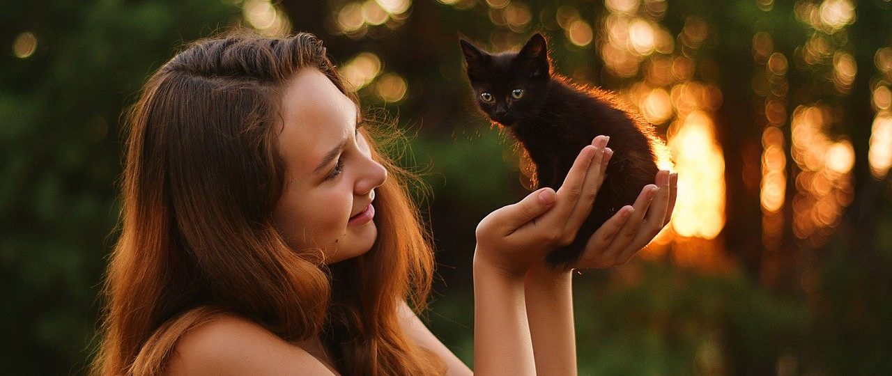 découvrez tout ce qu'il faut savoir sur le voyage avec votre animal de compagnie : conseils, astuces et réglementation pour des déplacements sereins et plaisants. assurez le confort et la sécurité de votre fidèle compagnon lors de vos aventures!