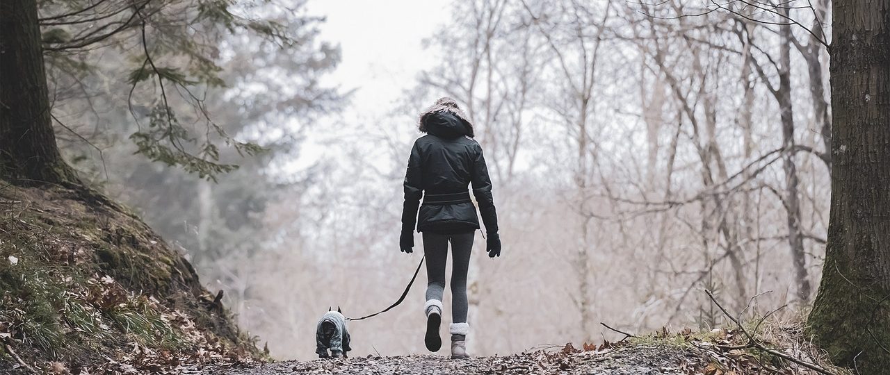 découvrez les activités incontournables à ne pas manquer pour vivre des expériences mémorables. explorez des attractions, des aventures en plein air et des moments uniques qui rendront votre séjour inoubliable.