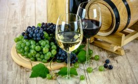 découvrez l'art de la dégustation de vin à travers une expérience sensorielle unique. apprenez à apprécier les arômes, les saveurs et la provenance des vins tout en explorant des accords mets et vins raffinés. que vous soyez novice ou expert, plongez dans l'univers passionnant des vins grâce à nos conseils et astuces.