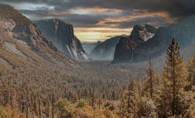 découvrez la beauté des parcs nationaux, des sanctuaires de nature préservée où la faune et la flore prospèrent. explorez des paysages époustouflants, profitez d'activités de plein air et reconnectez-vous avec l'environnement dans ces destinations incontournables.