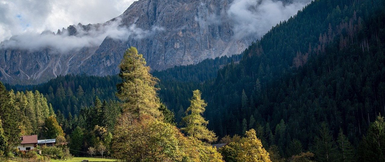 découvrez le monde fascinant du tourisme : des destinations à couper le souffle, des cultures riches et des expériences inoubliables vous attendent. explorez des paysages variés, savourez des cuisines locales et plongez dans l'histoire des lieux que vous visitez.