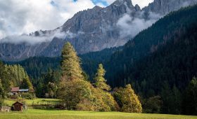 découvrez le monde fascinant du tourisme : des destinations à couper le souffle, des cultures riches et des expériences inoubliables vous attendent. explorez des paysages variés, savourez des cuisines locales et plongez dans l'histoire des lieux que vous visitez.