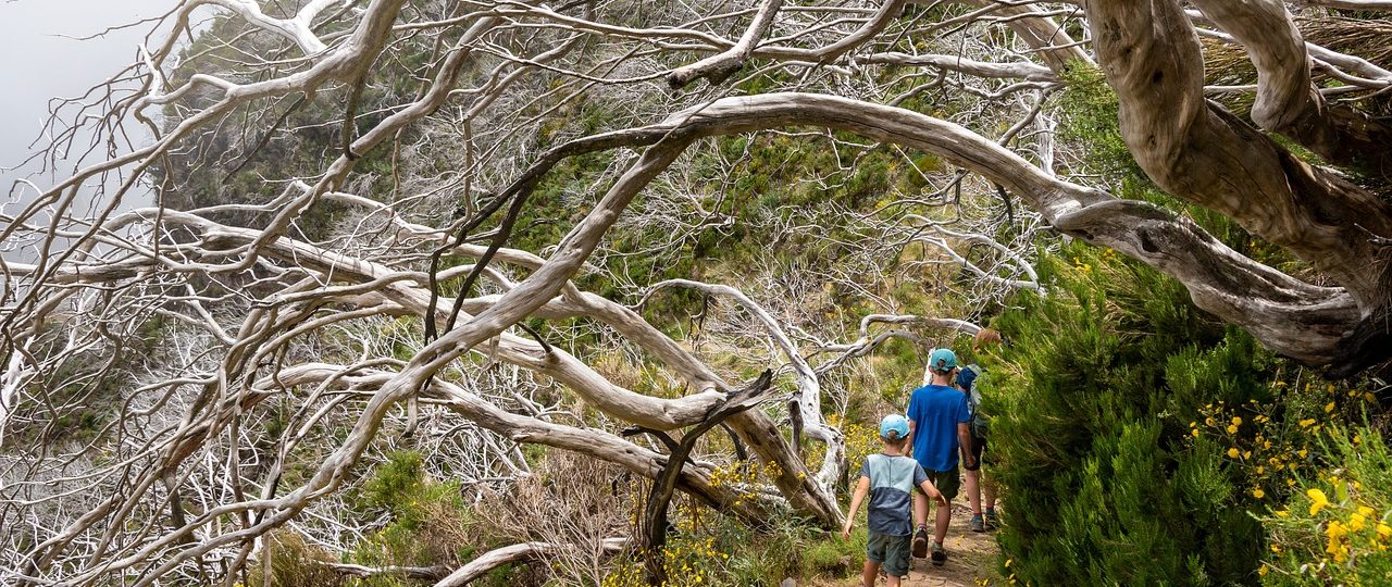 découvrez des conseils pratiques et des idées inspirantes pour vos voyages en famille. explorez des destinations adaptées aux enfants, des activités divertissantes et des astuces pour rendre chaque aventure inoubliable.