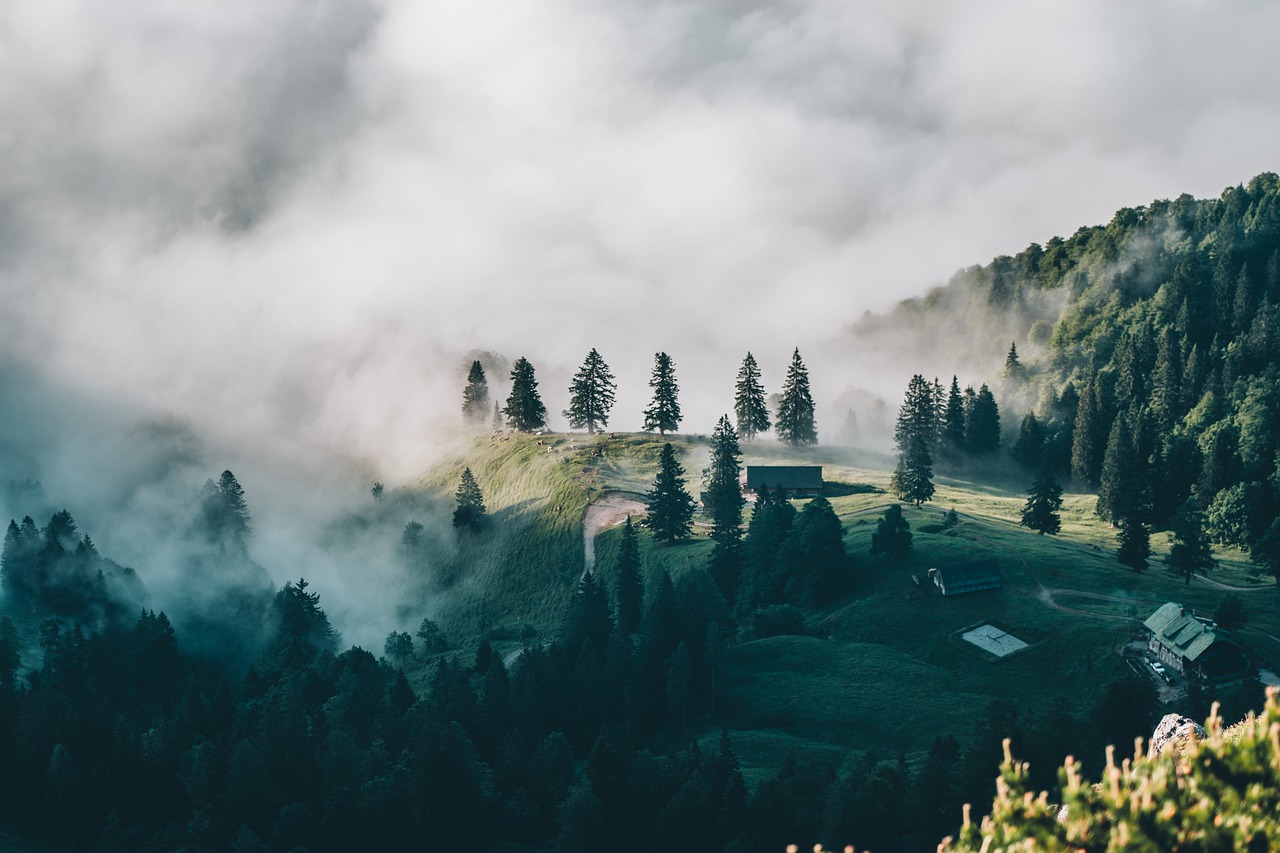 découvrez les merveilles du voyage culturel, une aventure immersive au cœur des traditions, histoires et arts des différentes régions du monde. explorez des destinations uniques et enrichissez votre esprit tout en vous connectant aux cultures locales.