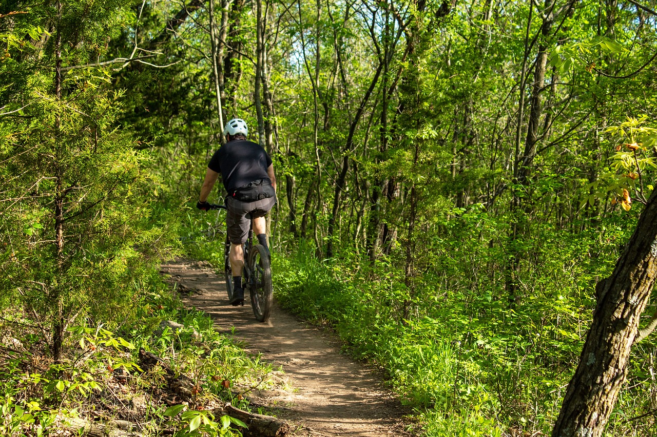 découvrez les meilleurs sentiers de vtt pour des aventures inoubliables en pleine nature. que vous soyez débutant ou expert, trouvez l'itinéraire parfait qui va défier vos compétences tout en profitant des paysages à couper le souffle. préparez-vous à pédaler et à explorer !