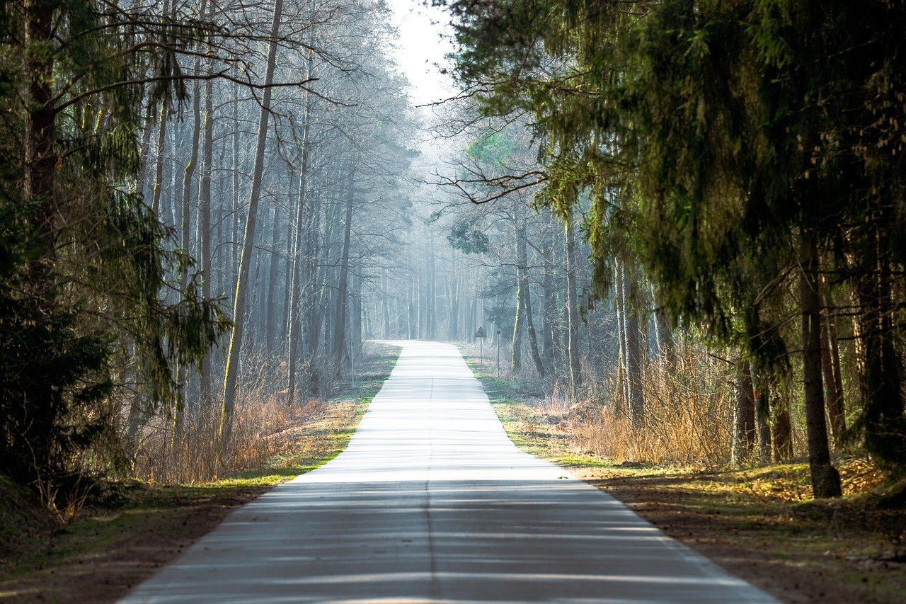 découvrez la beauté et la biodiversité des parcs nationaux, où la nature s'épanouit dans des paysages à couper le souffle. partez à l'aventure, explorez des sentiers pittoresques et observez la faune dans ces sanctuaires de la nature.