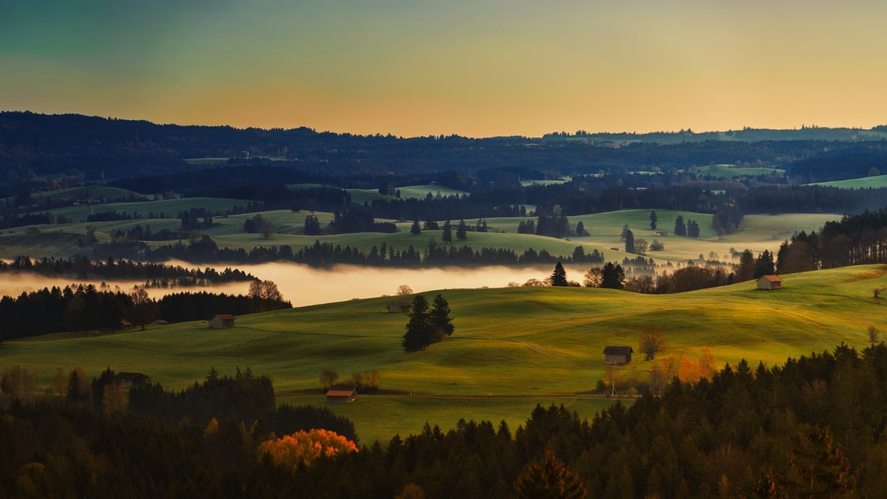 découvrez l'univers pastoral, où la nature et la vie rurale s'entremêlent pour offrir des moments de sérénité et d'harmonie. plongez dans une ambiance apaisante et accueillez les souvenirs d'une vie simple et authentique à travers nos articles sur le pastoralisme.