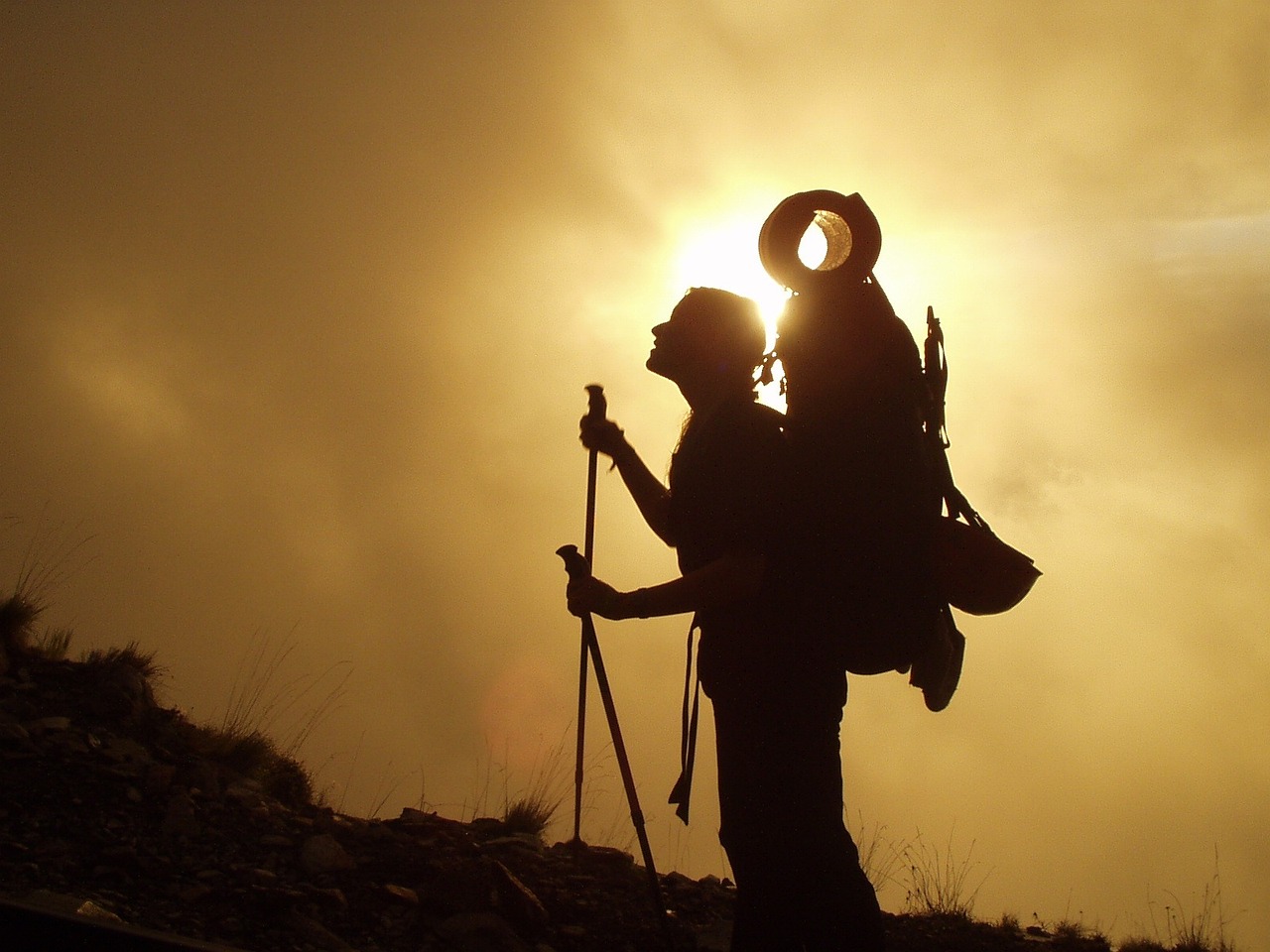 découvrez l'univers captivant du trekking : une aventure en pleine nature, combinant randonnée, exploration et immersion dans des paysages à couper le souffle. parfait pour les amateurs de sensations fortes et de découvertes, le trekking vous invite à repousser vos limites tout en vous reconnectant à l'environnement.