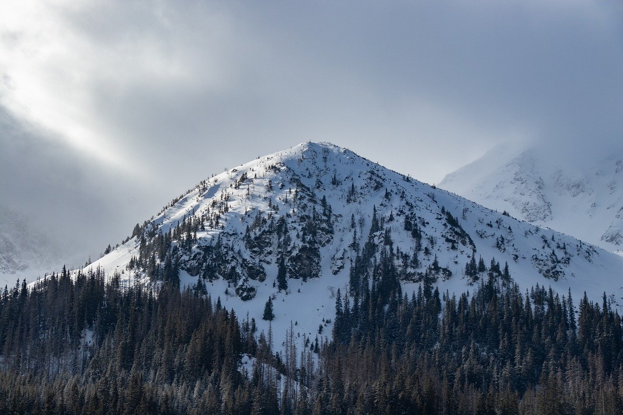 découvrez des destinations hivernales enchanteuses, des conseils pratiques pour voyager en hiver et des expériences inoubliables au cœur des paysages enneigés. préparez-vous pour des aventures uniques dans des endroits pittoresques à travers le monde.