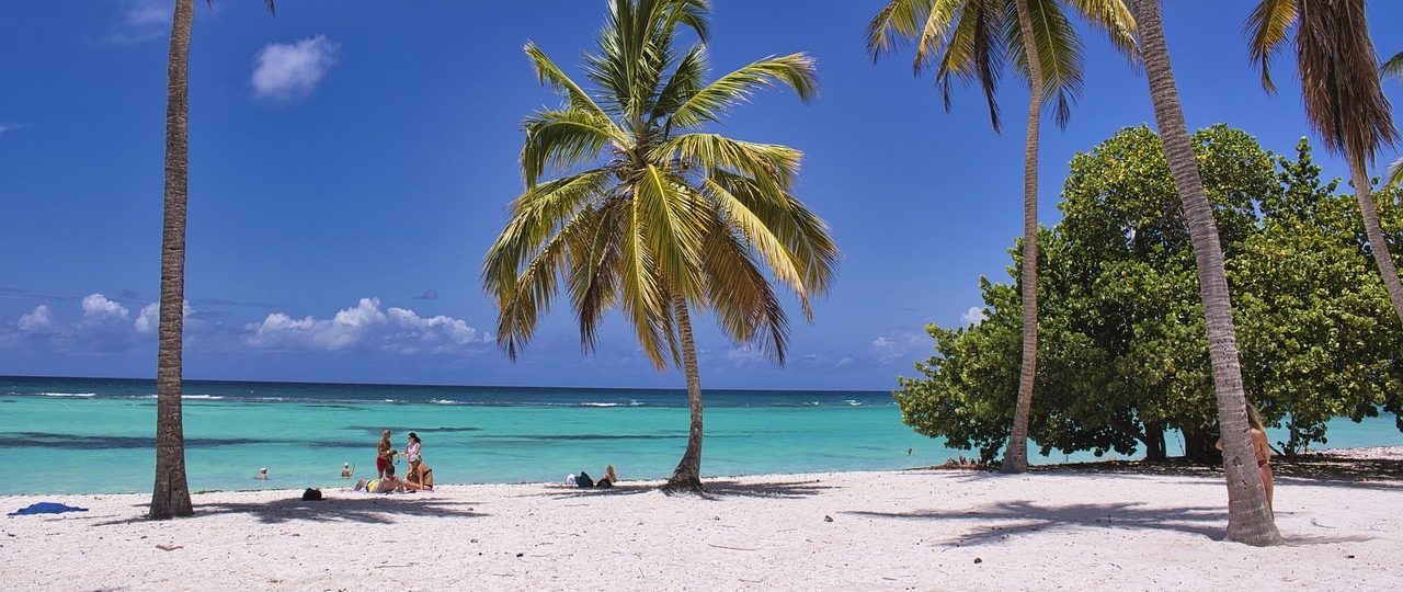 découvrez les plus belles plages du monde, idéales pour des vacances paradisiaques. explorez des paysages époustouflants, des eaux cristallines et des activités balnéaires inoubliables. que vous recherchiez des moments de détente ou des aventures aquatiques, trouvez votre destination plage idéale.