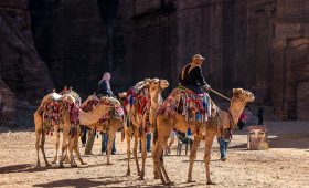 découvrez le monde fascinant du tourisme : des destinations exotiques aux attractions locales, explorez des conseils pratiques, des expériences authentiques et des inspirations pour vos prochaines aventures. voyagez au-delà des frontières et enrichissez vos connaissances culturelles.