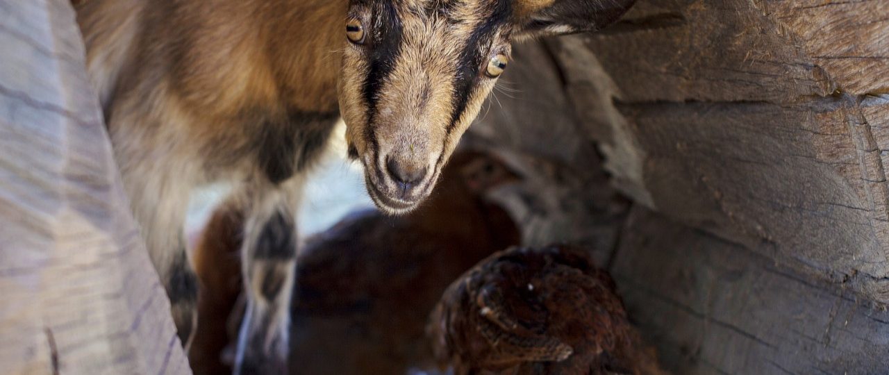 découvrez des lieux cachés fascinants, des trésors ignorés qui révèlent la beauté secrète de notre monde. explorez des destinations insolites et plongez dans des expériences uniques loin des sentiers battus.