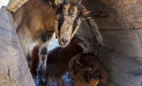 découvrez des lieux cachés fascinants, des trésors ignorés qui révèlent la beauté secrète de notre monde. explorez des destinations insolites et plongez dans des expériences uniques loin des sentiers battus.