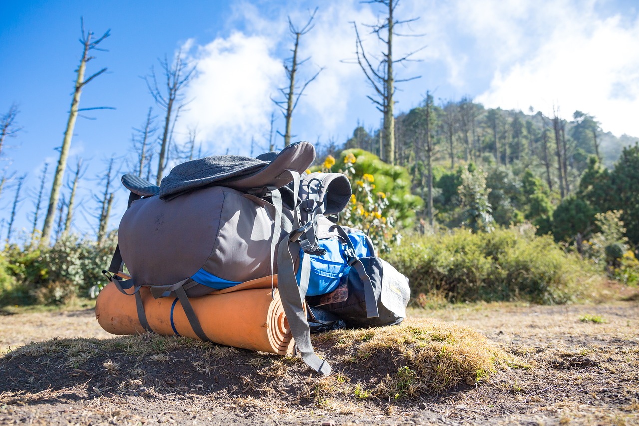 découvrez l'art du backpacking : conseils, itinéraires et astuces pour explorer le monde tout en voyageant léger. plongez dans des aventures inoubliables et apprenez à voyager sans contraintes, en pleine nature ou au cœur des villes.