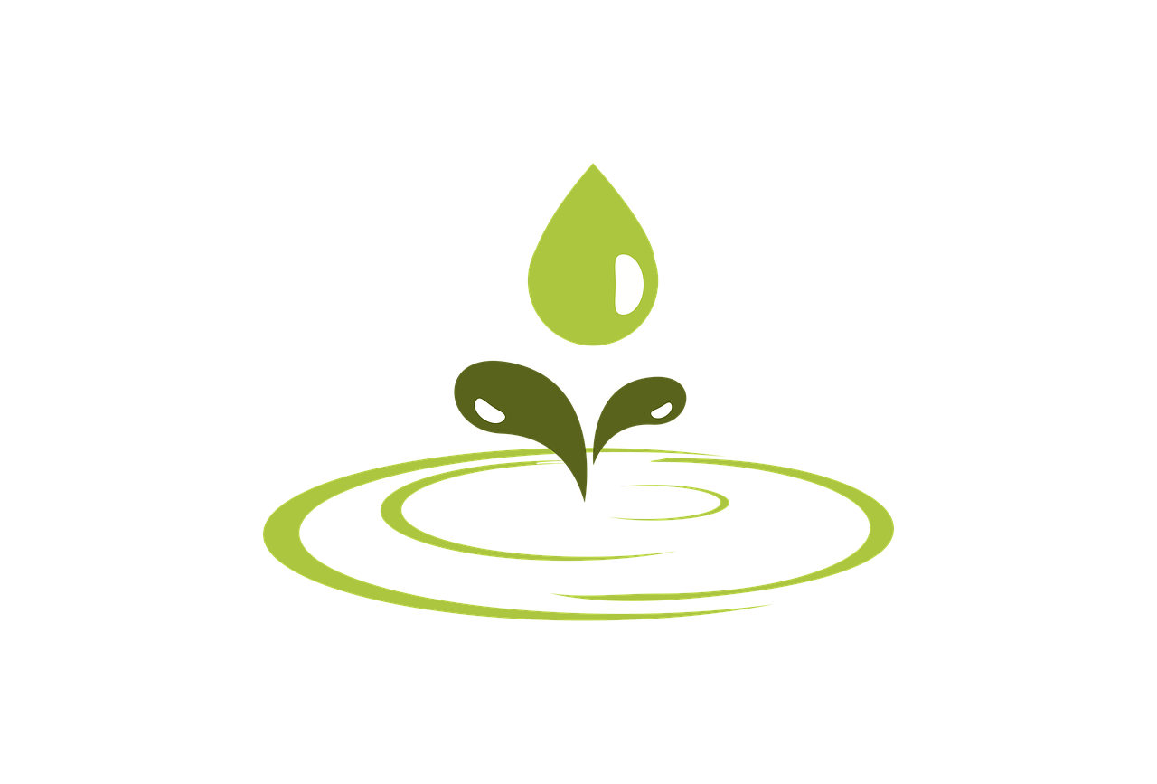 découvrez des destinations de voyage écologiques qui allient aventure et durabilité. explorez des lieux préservés tout en respectant l'environnement et en soutenant les communautés locales. préparez-vous à vivre des expériences inoubliables dans des endroits qui protègent notre planète.