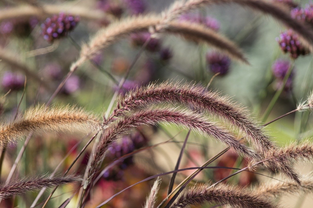 découvrez nos hébergements ruraux, alliant confort et nature. profitez d'une expérience authentique au cœur de la campagne, idéale pour un séjour reposant en famille ou entre amis.