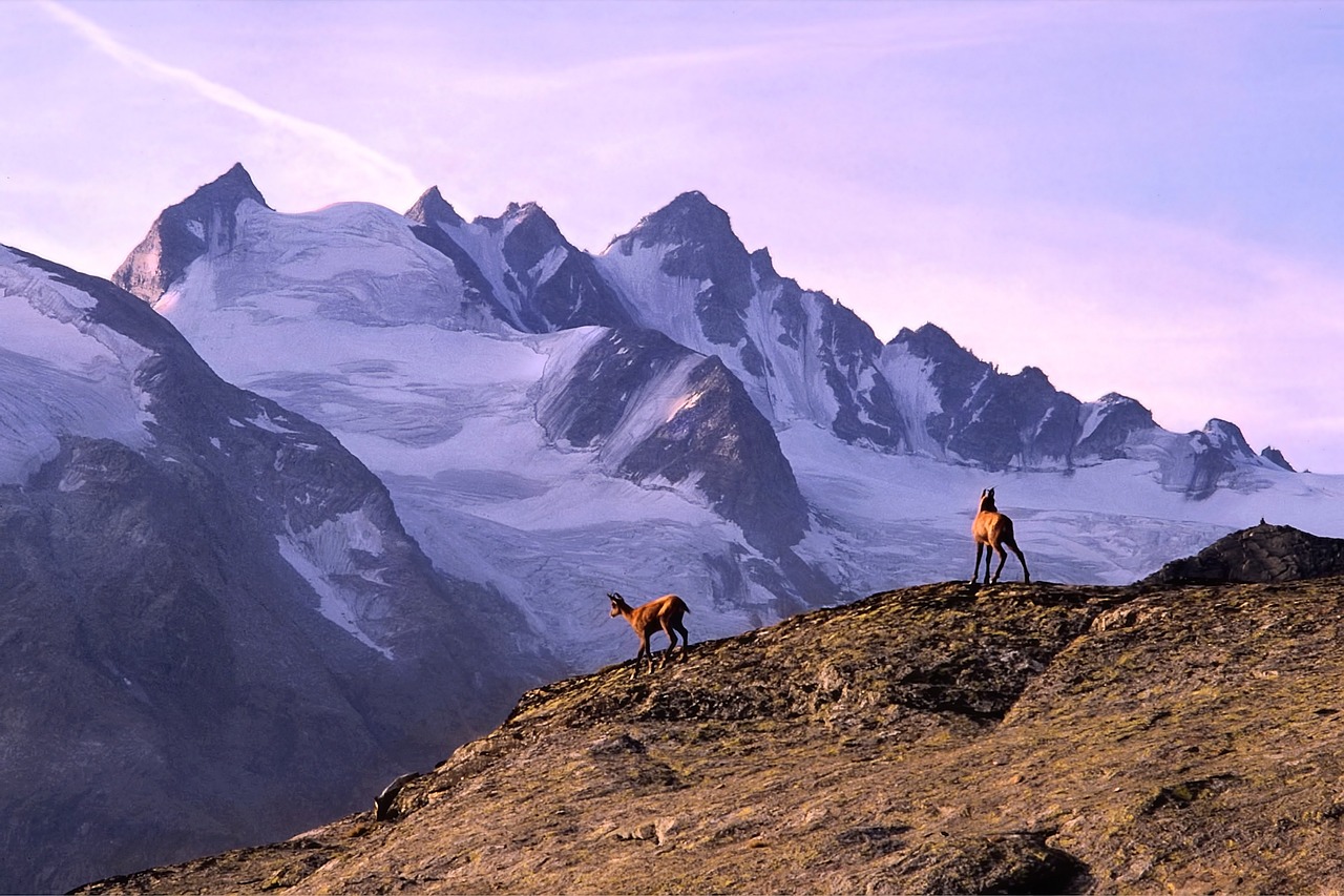 découvrez l'aventure du trekking : explorez des paysages à couper le souffle, vivez des expériences inoubliables en pleine nature et préparez-vous à relever des défis tout en profitant d'une déconnexion totale. rejoignez-nous pour un voyage mémorable !