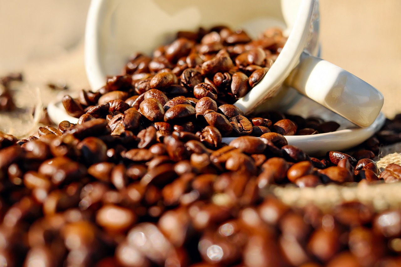 découvrez l'univers passionnant de la culture du café, où chaque tasse raconte une histoire. explorez les différentes traditions, méthodes de préparation et variétés de café à travers le monde, et apprenez comment le café façonne nos rituels quotidiens et nos interactions sociales.