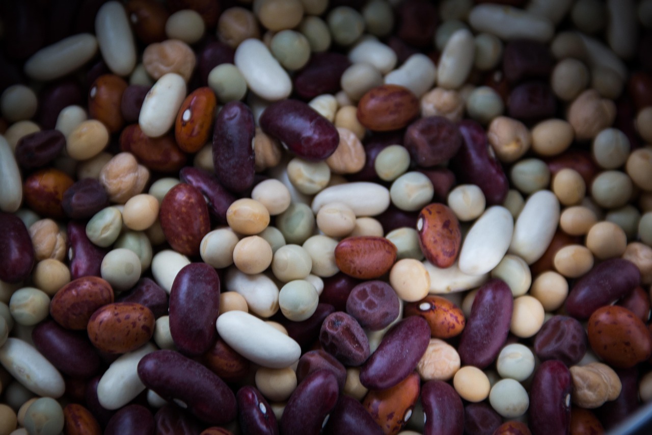 découvrez le haricot tarbais, une variété de légumineuse emblématique du sud-ouest de la france. apprécié pour sa texture fondante et son goût délicat, ce haricot est idéal dans vos plats traditionnels. explorez ses bienfaits nutritionnels et les meilleures recettes pour l'intégrer à votre cuisine.