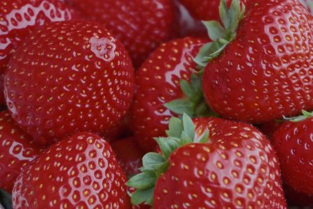 découvrez la magie de pâques avec nos idées de célébration, recettes délicieuses, activités amusantes pour toute la famille et traditions étonnantes qui rendent cette fête inoubliable.