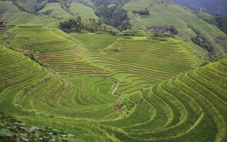découvrez l'art de la détente en extérieur avec notre guide complet sur les terrasses. aménagez un espace convivial, profitez de moments de convivialité en famille ou entre amis et transformez votre jardin en un véritable havre de paix. inspirez-vous de nos idées déco et conseils pratiques pour maximiser votre espace extérieur.