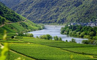 découvrez le monde fascinant du tourisme : des destinations exotiques aux expériences culturelles uniques, explorez les meilleures activités, conseils de voyage et astuces pour un séjour inoubliable.