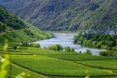 découvrez le monde fascinant du tourisme : des destinations exotiques aux expériences culturelles uniques, explorez les meilleures activités, conseils de voyage et astuces pour un séjour inoubliable.