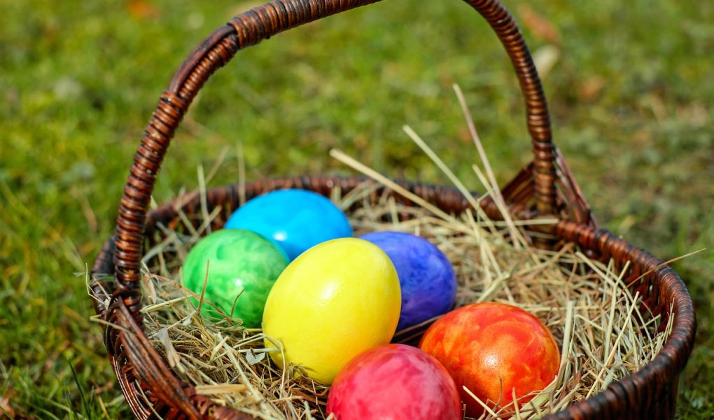 découvrez la magie de pâques : traditions, œufs colorés, recettes délicieuses et activités pour toute la famille. célébrez cette fête en plein air et partagez des moments inoubliables !