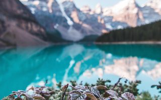 découvrez l'univers du camping : des conseils pratiques, des destinations idéales et des astuces pour profiter pleinement de vos séjours en plein air. évadez-vous dans la nature et vivez des moments inoubliables en famille ou entre amis.