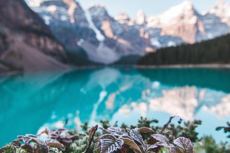 découvrez l'univers du camping : des conseils pratiques, des destinations idéales et des astuces pour profiter pleinement de vos séjours en plein air. évadez-vous dans la nature et vivez des moments inoubliables en famille ou entre amis.
