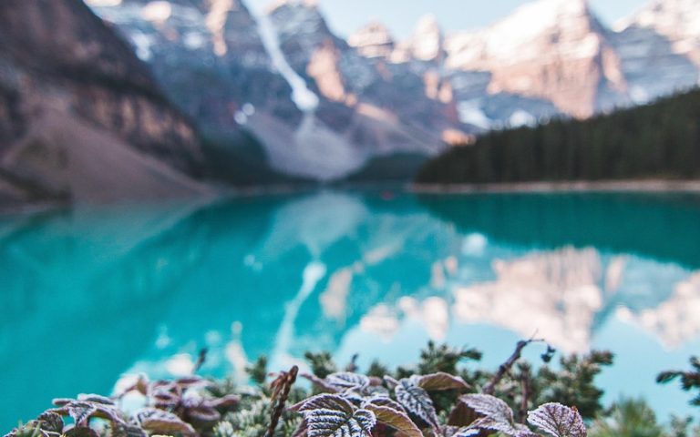 découvrez l'univers du camping : des conseils pratiques, des destinations idéales et des astuces pour profiter pleinement de vos séjours en plein air. évadez-vous dans la nature et vivez des moments inoubliables en famille ou entre amis.